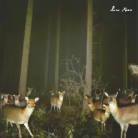 Low Roar - Conscious, Not Really