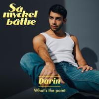 Darin - What's the Point