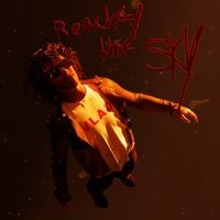 Zelly Ocho - Reach 4 the Sky