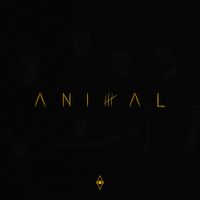 HVNDS - Animal