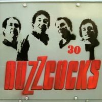 Buzzcocks - 30