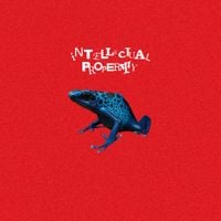Waterparks - INTELLECTUAL PROPERTY