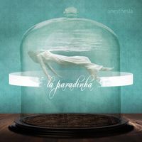 Anesthesia - La Paradinha