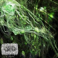 Ar'lyxkq'wr - N'yxlwrr