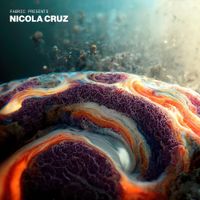 Nicol&aacute; Cruz - fabric presents: Nicol&aacute; Cruz