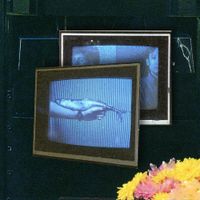Stiig - Blue Loop