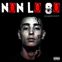 VillaBanks - Non Lo So