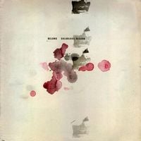 Belong - Colorloss Record