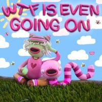 carpetgarden - WTF is even going on?