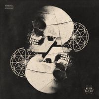 Kompany - Movement