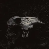 Joy - Joy