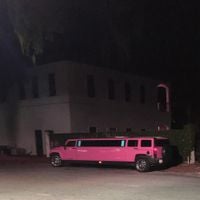 william crooks - STRETCH PINK HUMMER