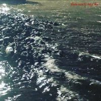 Ricky Chix - Plastic Ocean