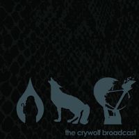 My Hero Is Me - The Crywolf Broadcast