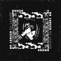 Our Common Collapse - No Longer Human or Known
