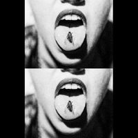 Weeping Icon - Ocelli