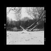DAROET - Cries & Whispers