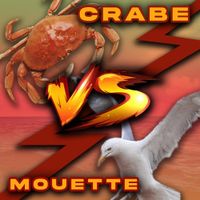 Pol Et Rob - CRABE VS MOUETTE