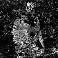 Mangled State - Pain Incarnate