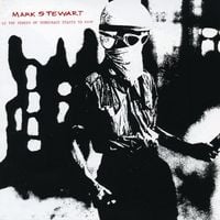 Mark Stewart - As the Veneer of Democracy Starts to Fade