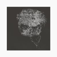 David Toop - Entities Inertias Faint Beings