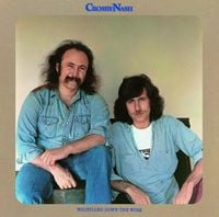 Crosby & Nash - Whistling Down the Wire