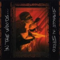 In the Woods... - Strange in Stereo