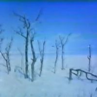 セルシオ [Serushio] - branches