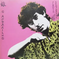Fl&aacute;vio Venturini - O Andarilho