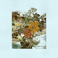 Seasoning - The Condensation