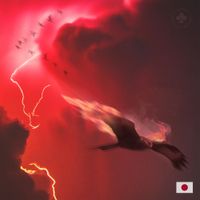 Connor Price - DIP