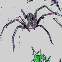 grape milk - SPIDER