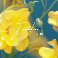YMB - Tender