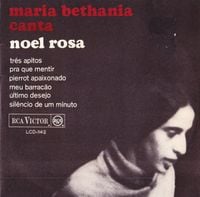 Maria Beth&acirc;nia - Canta Noel Rosa