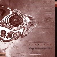 Puracane - Things You Should Leave Alone