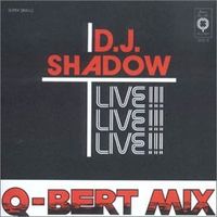 DJ Shadow - Camel Bobsled Race (Q-Bert Mega Mix)