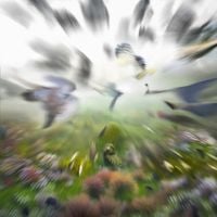 Imogen Heap - Chordata Bytes II