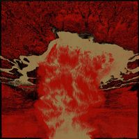 Chaos Ech&oelig;s - Mouvement
