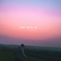 normal the kid - what hurts me...