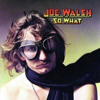 Joe Walsh - So What