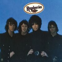Raspberries - Raspberries