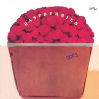 Raspberries - Side 3