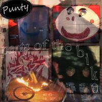 Punty - Parts of the Bike