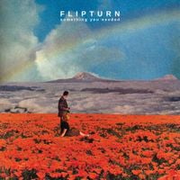 flipturn - Something You Needed