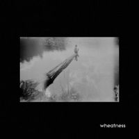 Wheatness - The Future
