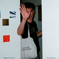 Noah Britton - Why Would Someone Make an Album?