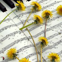 Enjac - Learn To Sing