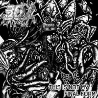 30XX - THIS IS NOT MY FINAL FORM
