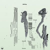 ​gonima - Strands