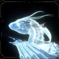 Zorza - Z2